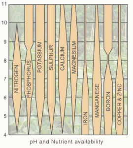 Nectar Of The Gods Feeding Chart